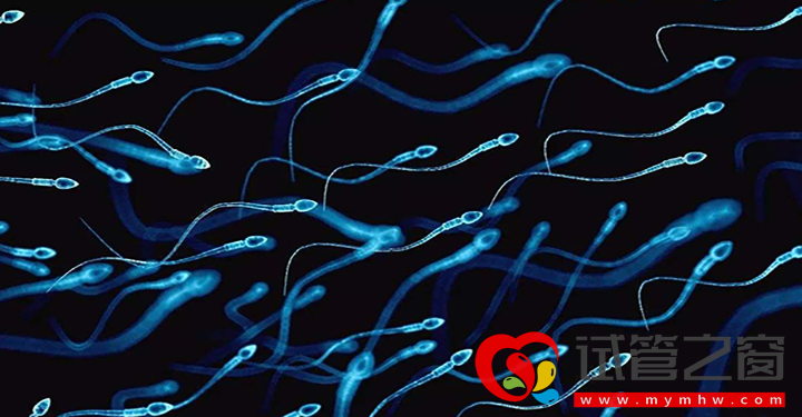 赴柬做试管并非盲目从众,柬埔寨三代试管4大优势(图1) 柬埔寨第三代试管