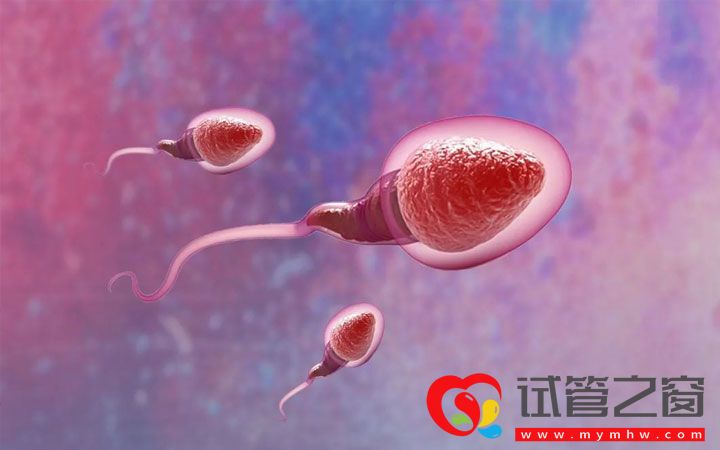 巴中平昌县试管婴儿多少钱更多