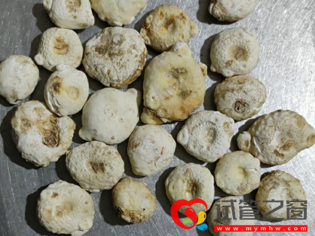 孕妇切勿食用生南星,诱发胎儿畸形几率真心高!(图1) 孕妇不能吃生南星