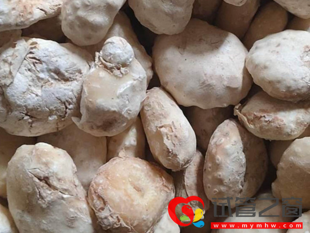 孕妇切勿食用生南星,诱发胎儿畸形几率真心高!(图2) 孕妇吃生南星会中毒