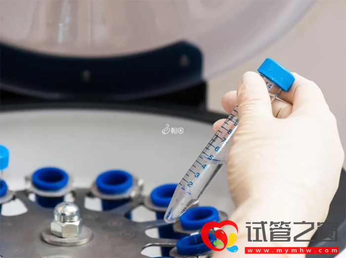 日本杉山医院试管婴儿成功率多少(图3) 35岁以下做三代试管成功达百分之80