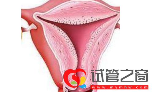 内膜厚度多少可以移植囊胚(图1) 内膜厚度多少可以移植囊胚(图1)