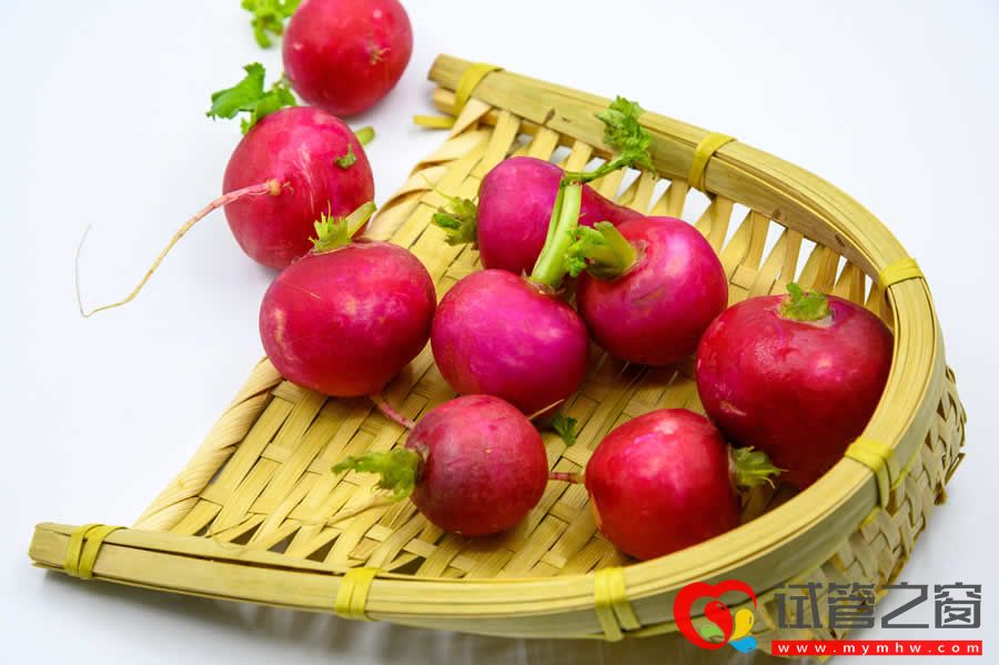 试管婴儿网揭秘泰国试管婴儿取卵越多,成功率越高吗?(图1) 蔬菜 (32).jpg