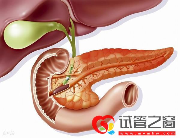 胰腺癌代谢分型及化疗耐药机制被揭示(图1) 1.jpg