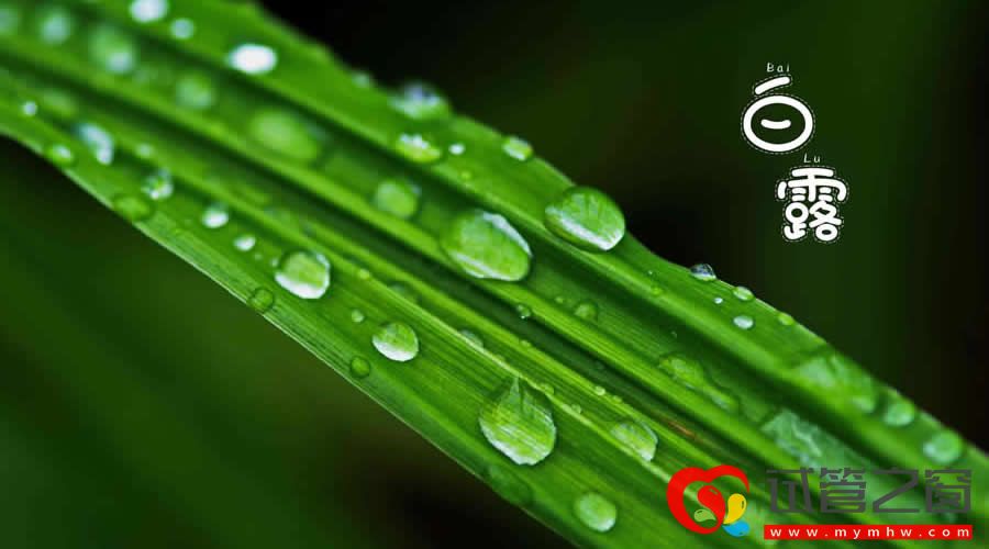 白露时节养生有这些讲究 中医专家详解(图1) 97408c3ec6d0d96c6ac8cd7f2cc359bf.jpg