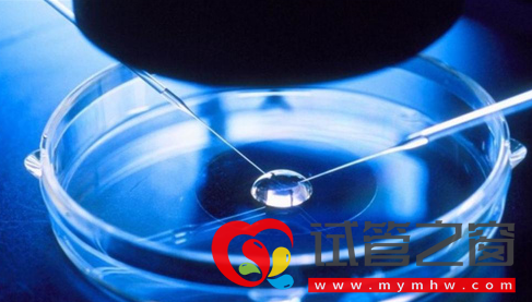 做试管双胞胎几率高吗 正常人可以做试管婴儿生双胞胎吗(图1) 做试管双胞胎几率高吗,正常人可以做试管婴儿生双胞胎吗