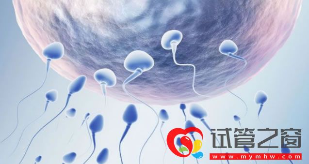 孩子发育迟缓囟门闭合越迟宝宝第一次说话也会延迟是真的吗?(图1) sg (71).jpg