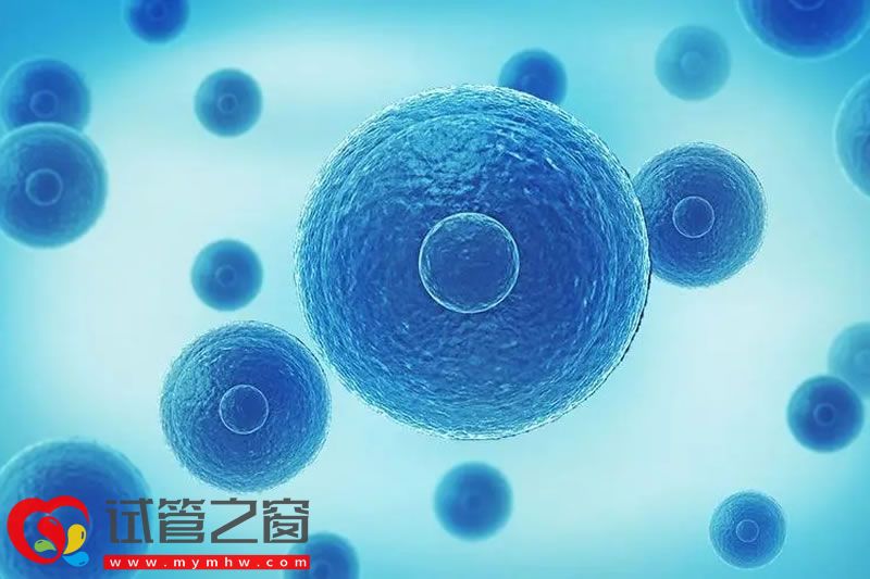 雅安输卵管过长能做试管吗 试管费用大概多少钱