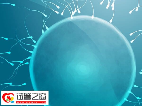 男人生育能力差有哪些征兆?勃起功能障碍要小心(图2) 男人没生育能力的表现有哪些