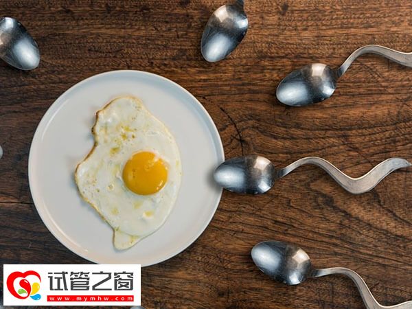 试管婴儿怎么才能选出优质精子?形态筛选不可少(图1) 试管婴儿精子活力条件