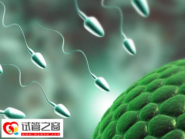 试管婴儿怎么才能选出优质精子?形态筛选不可少(图2) 做试管婴儿对精子的要求