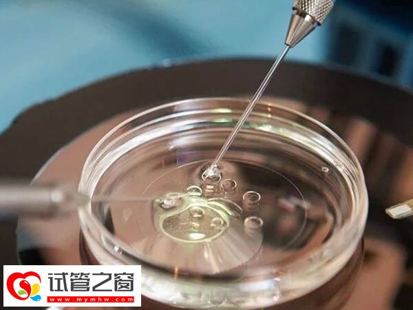 囊胚移植后总是腹胀喘不上气?快试试喝西瓜汁、冬瓜汤(图3) 移植后为什么会出现腹胀胸闷