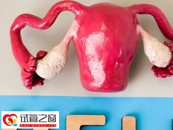 卵巢不好光科学饮食可不够,还需要坚持锻炼(图1) 卵巢功能下降如何改善