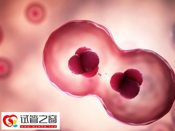 促排期间腹部不舒服、体温升高要小心,可能是卵泡早排!(图1) 促排卵泡早排会不会影响体温