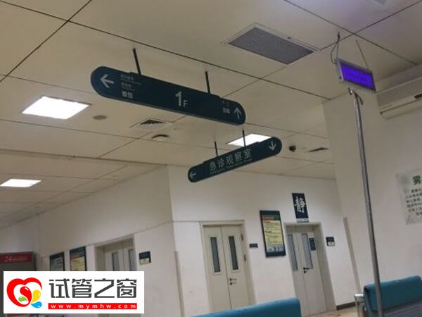 杭州6大试管婴儿专家介绍，临床妊娠率均在50%上下