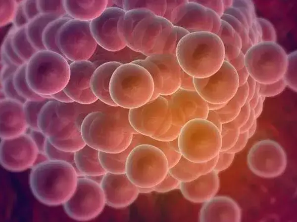 三代试管婴儿取6个卵正不正常(图1) 取卵不是取得越多越好