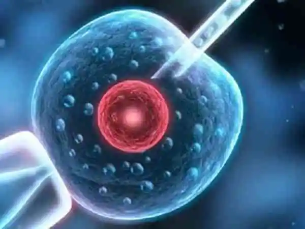 冻胚移植前多久打降调针比较好(图1) 注射降调针能够抑止黄体酮分泌