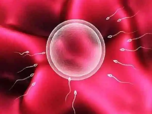 冻胚移植第五天心跳加快心慌正不正常(图1) 移植后出现不适感要及时咨询医生