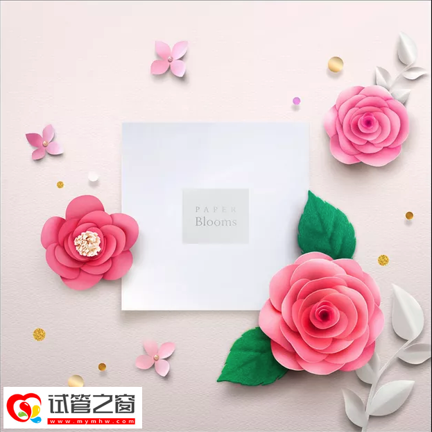 做试管婴儿怎么保养卵巢提高成功率(图1) 试管婴儿相关图片