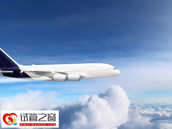 赴泰做试管婴儿干货,提前预订机票和酒店很重要!(图2) 怎么去泰国做试管婴儿比较可靠