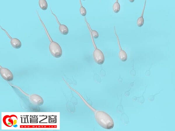 男性无精症易不孕不育,及时禁烟禁酒很重要(图2) 促进生精有哪些好方法