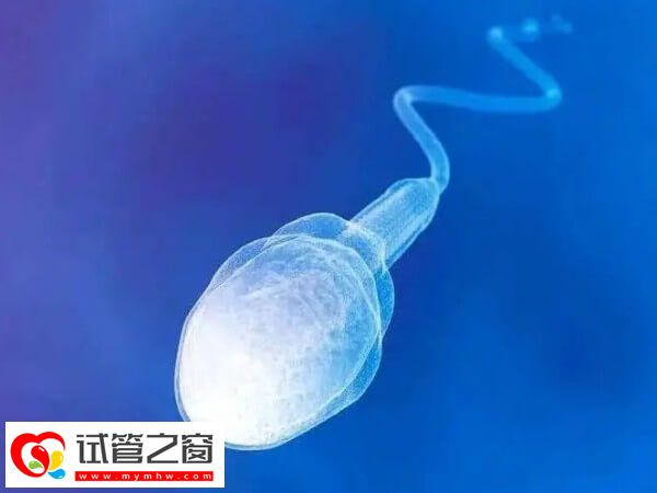 做试管婴儿什么情况需要冻精(图1) 冻精可以保存生育能力