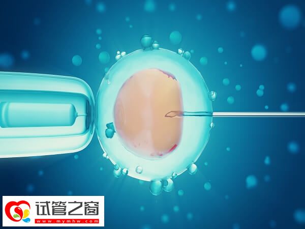 夏天做试管婴儿饮食注意事项有哪些(图1) 做试管期间要做好注意事项