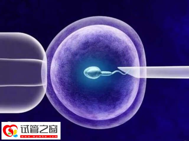 夏天做试管婴儿成功率有没有影响(图1) 试管成功率与胚胎质量密切相关