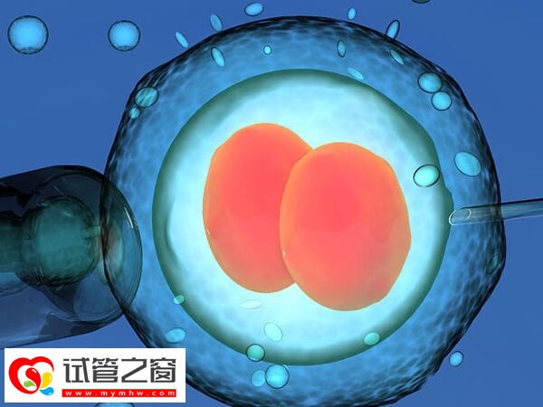 心情对试管婴儿成功率的影响有哪些(图1) 做试管期间要保持心情愉悦