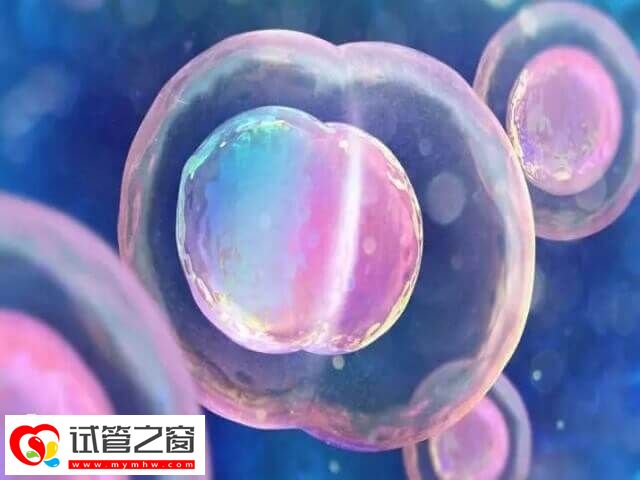 影响卵子质量的因素有哪些(图1) 不好的生活习惯对卵子质量有伤害