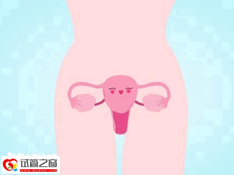 怎么做到一次试管就成功怀上(图1) 做试管前要调理好子宫内膜