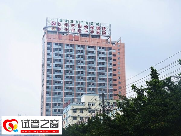 钦州市妇幼保健院试管婴儿成功率多少