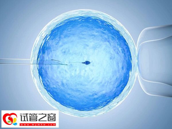 试管婴儿移植冻胚的好处有哪些(图1) 冻胚移植仅适用特殊可用症群体