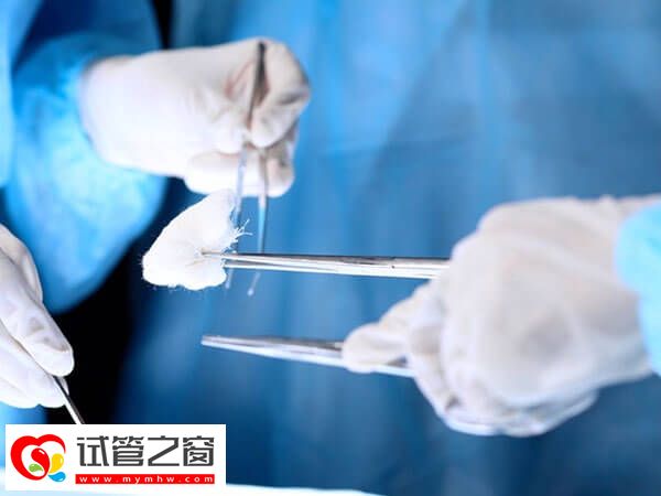 试管婴儿可采用腹部取卵的6类人群罗列,成功率较为可观!(图2) 试管满足什么条件可做腹部取卵