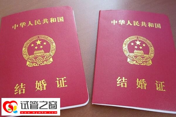 赴美做试管婴儿一定要准备好资料，如何办理签证一并告知！