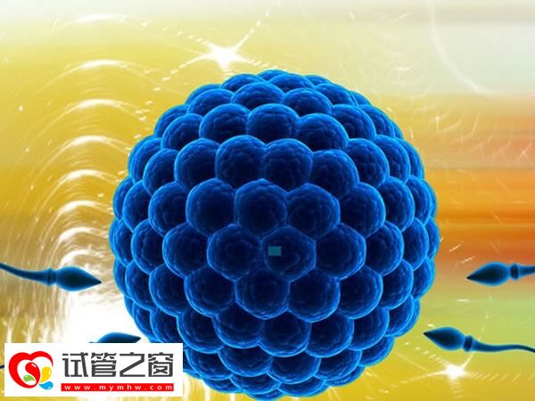 试管婴儿fet方案科普:意义、流程、注意事项一次说清!(图1) 试管婴儿fet方案有什么优势