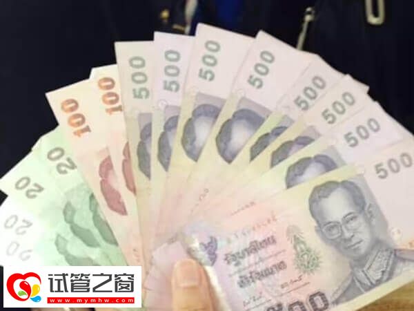 试管婴儿一二三代费用已整理在此,想要省钱照这样做!(图2) 各代试管婴儿费用说明