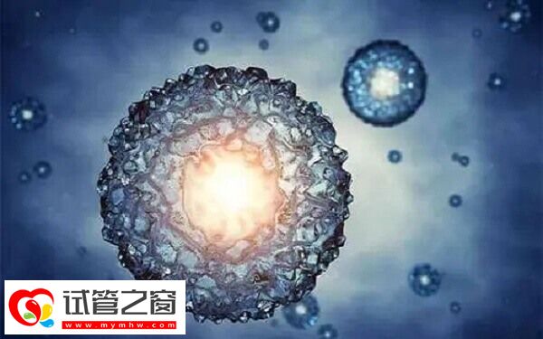 试管婴儿成功率与助孕代数有无关系?看其影响因素方知(图2) 试管婴儿成功率由什么决定