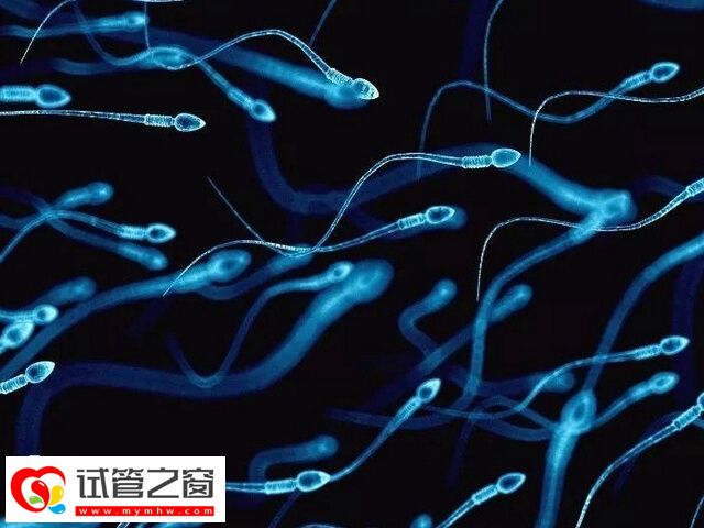 男人阳痿能不能做试管婴儿(图1) 阳痿要想做是试管先弄清引起的原因