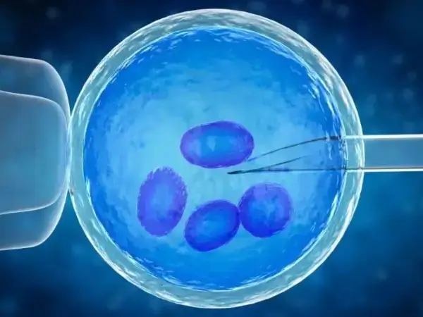 输卵管堵塞能不能做试管婴儿(图1) 输卵管堵塞有积水做试管要先治疗