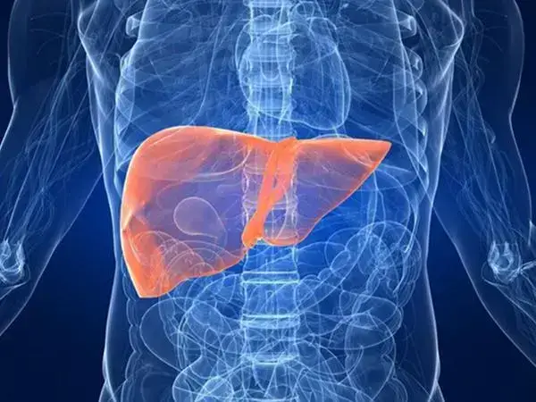 有肝炎可不可以做试管婴儿(图1) 肝炎做试管婴儿可能会影响胚胎质量