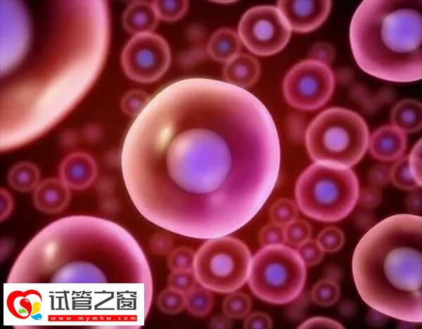 抗卵巢抗体阳性可不可以做试管婴儿(图1) 做试管婴儿前要先检查卵巢功能