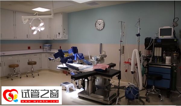 试管移植后13天呕吐严重是怀孕了吗?内附原因分析(图2) 试管移植后呕吐是不是因为子宫环境不好