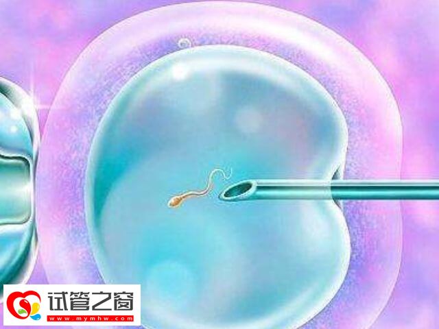 移植优质胚胎后不着床是因为子宫内膜有问题吗?(图1) 11.jpg