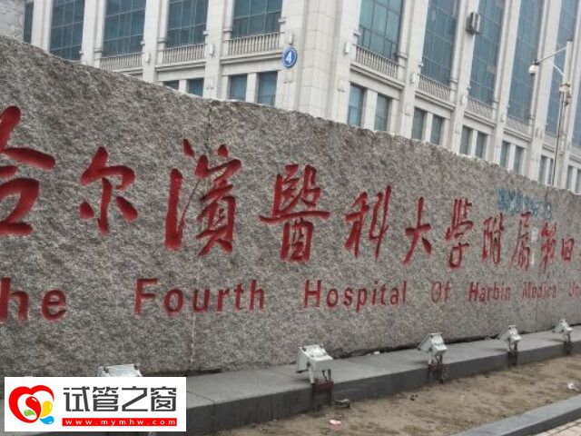 哈尔滨高成功率一代试管婴儿机构速览，哈医大一院名气大