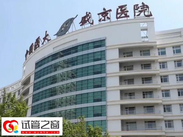 沈阳一代试管婴儿机构有哪些？盛京医院值得选