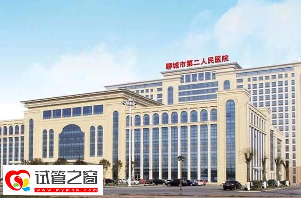 聊城市二医院试管费用多少
