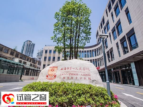2024上海市三代试管婴儿价格公开，第一人民医院6万起