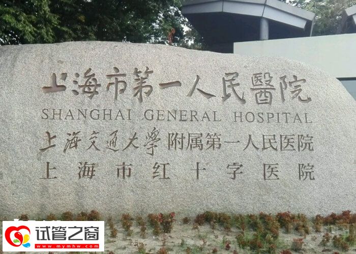 2024上海市三代试管婴儿价格公开,第一人民医院6万起(图2) 上海三代试管术前检查费用