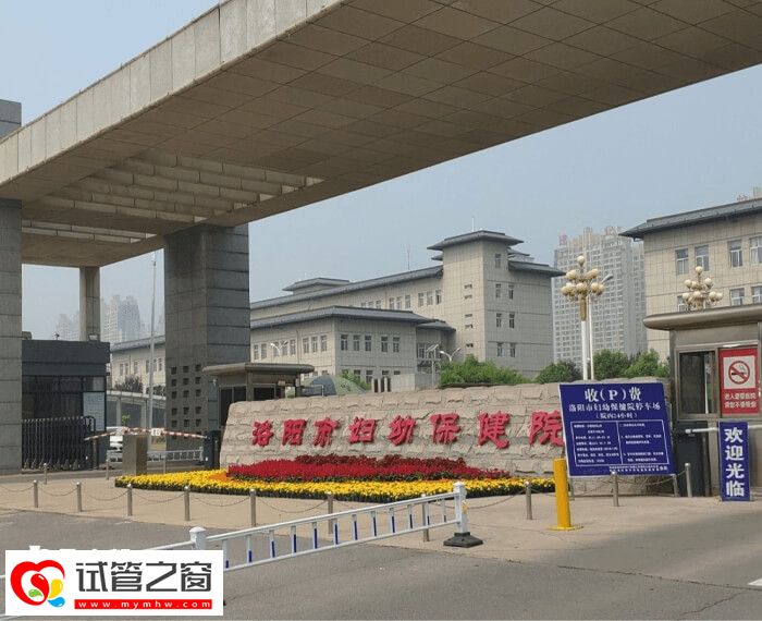 洛阳妇幼试管生双胞胎费用多少
